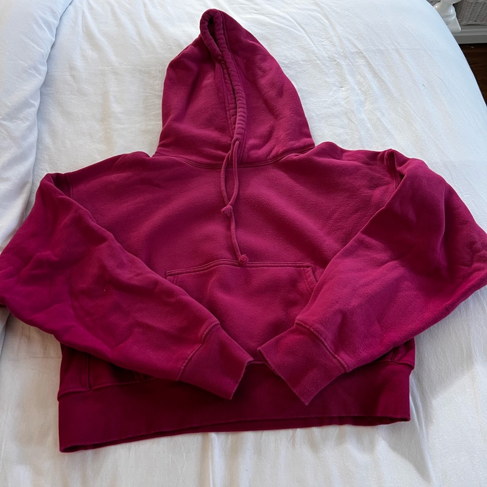 Aritzia TNA Boyfriend sweatshirt